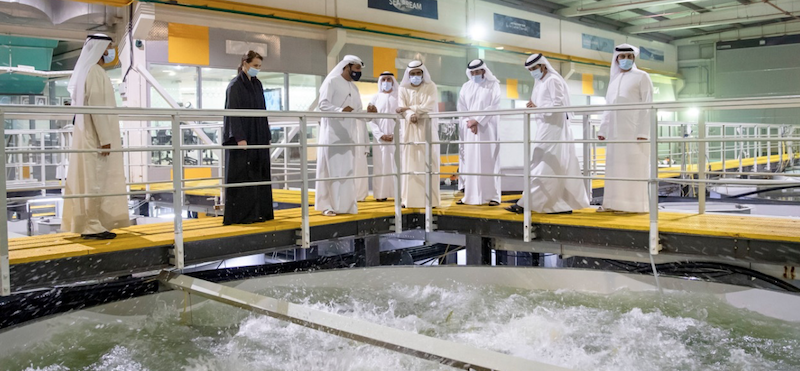 Sheikh Mohammed Fish Farm Dubai