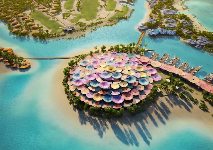 Aerial View of Coral Bloom Concept