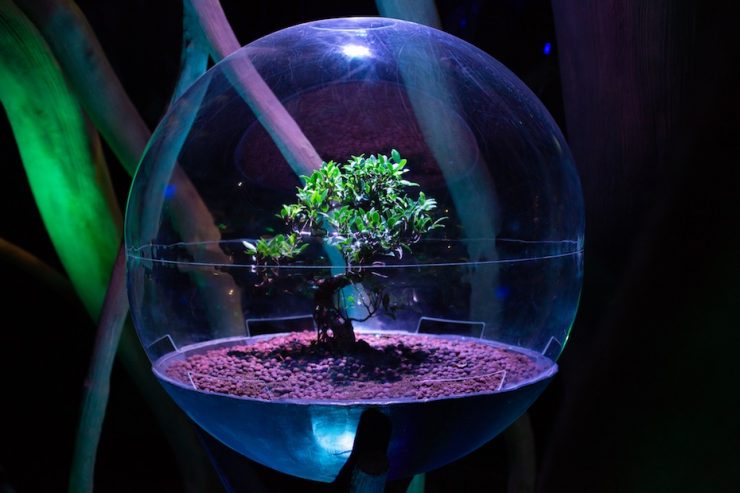 Terra – The Sustainability Pavilion Expo 2020 Dubai