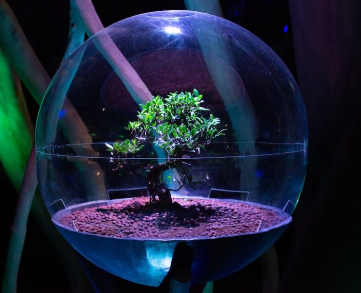 Terra – The Sustainability Pavilion Expo 2020 Dubai