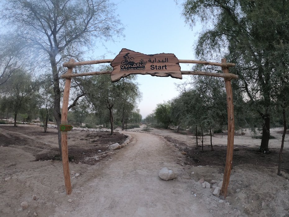 Dubai Mushrif National Park