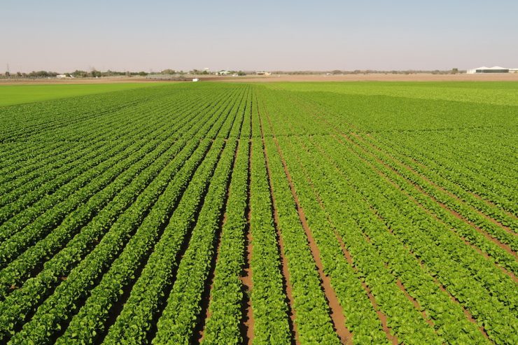 UAE to invest $2bn in India’s ‘food parks’