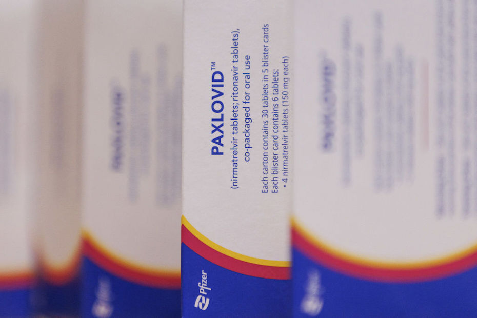 pfizer paxlovid