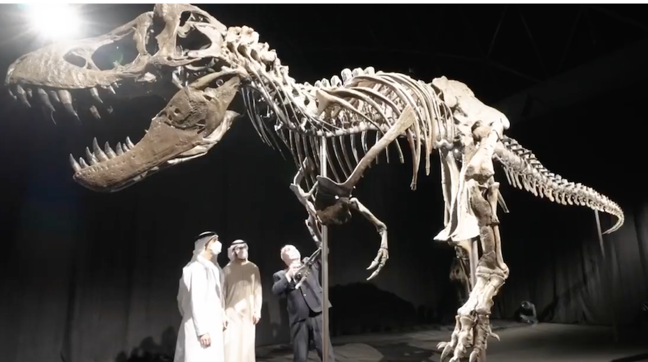 Natural History Museum Abu Dhabi