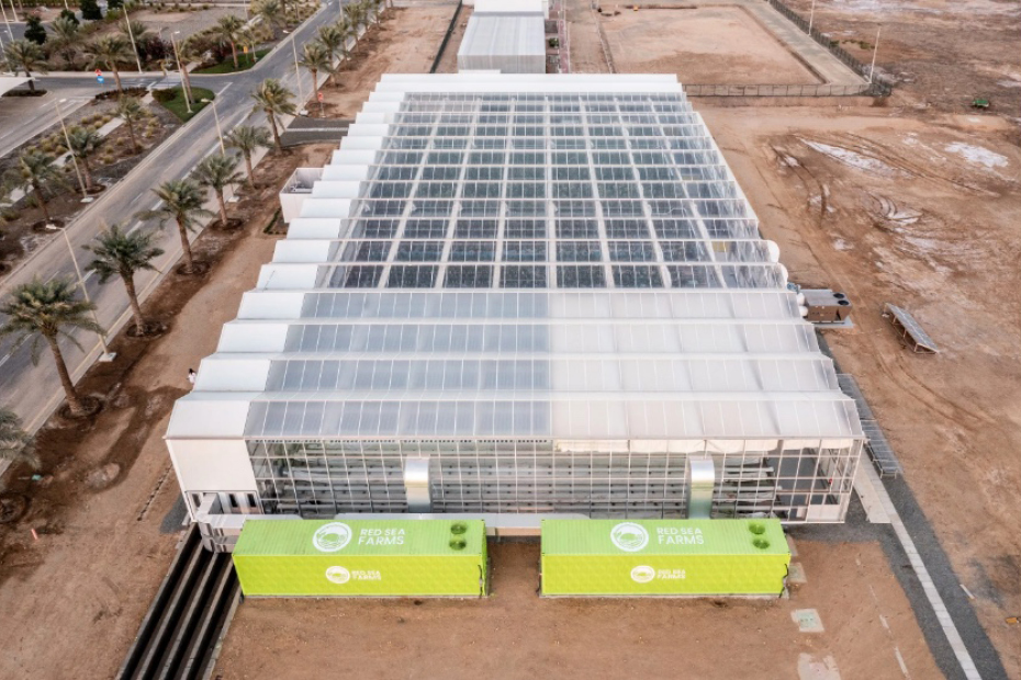 Agtech Red Sea farms