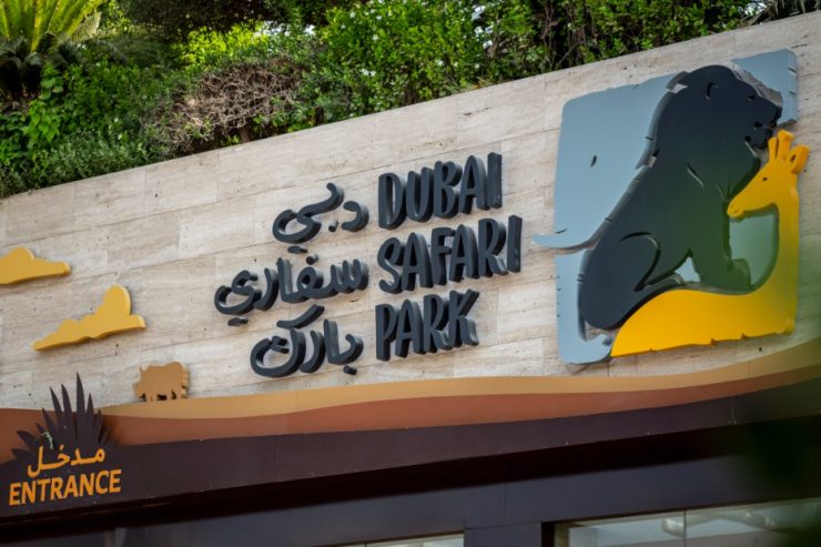 Dubai Safari Park_pic courtesy Dubai Media Office