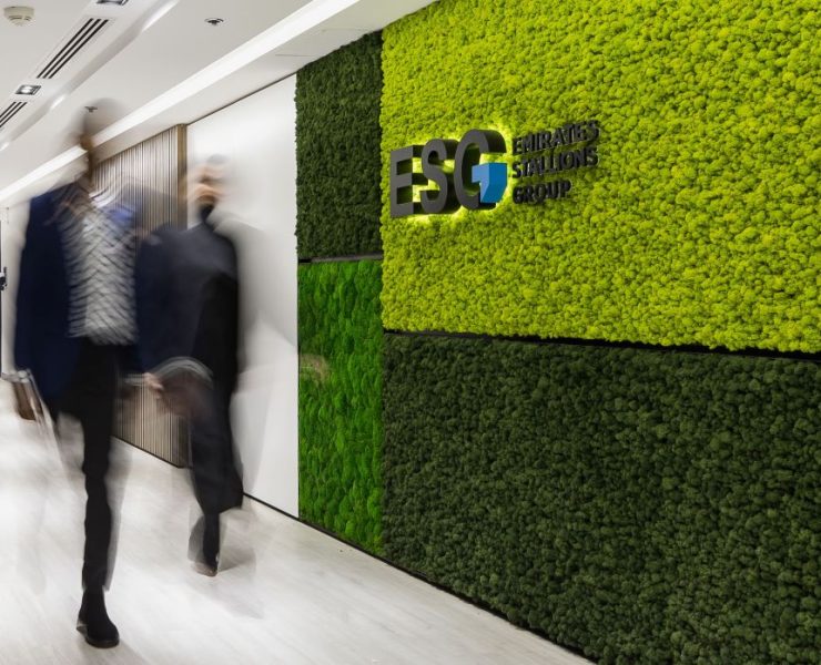 Emirates Stallions Group