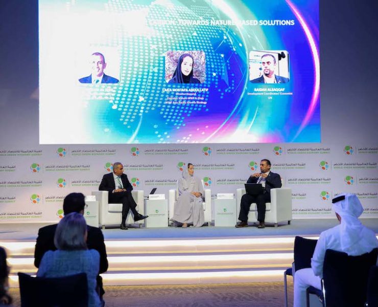 World green economy summit