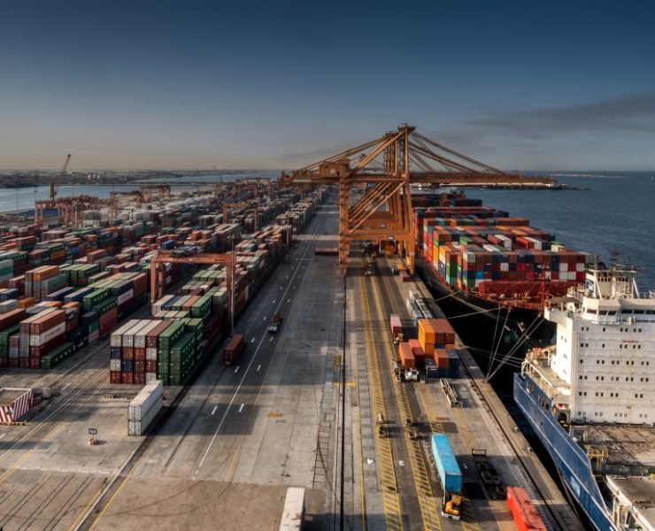 DP world open new trade routes in 2022