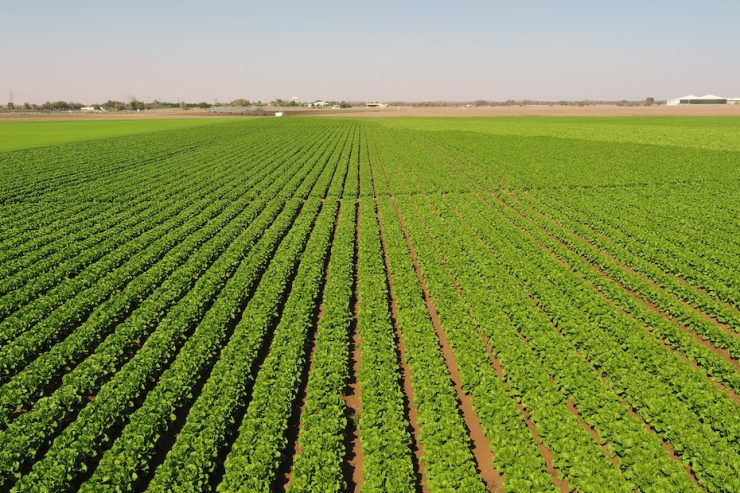 Tech ology can help address food security challenges by Dr Ray O Johnson