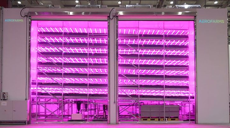 AeroFarms opens faciltiy on Abu Dhabi photo WAM