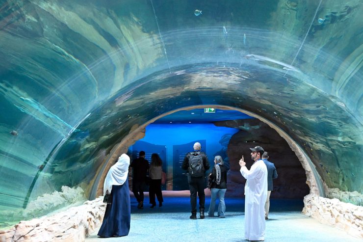SeaWorld Yas Island underwater Zoo