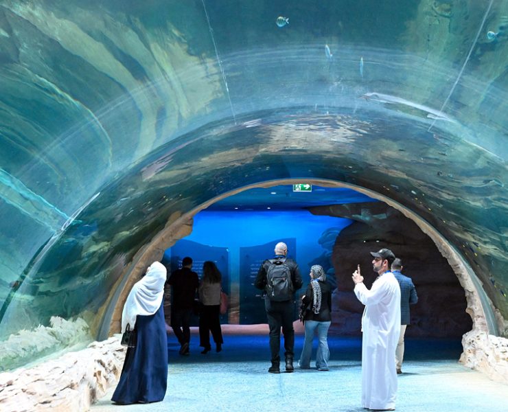 SeaWorld Yas Island underwater Zoo