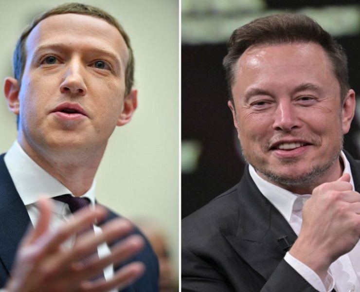 Musk and Zuckerberg cage fight