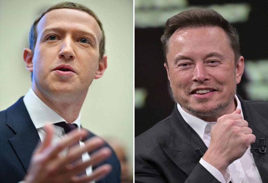 Musk and Zuckerberg cage fight