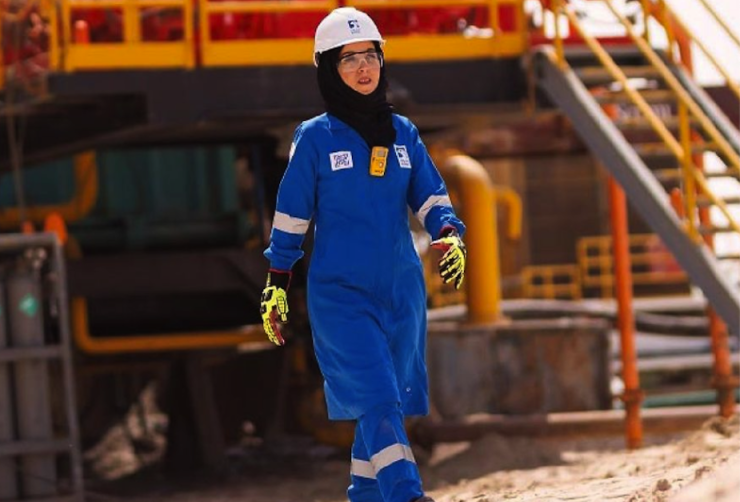Adnoc private sector