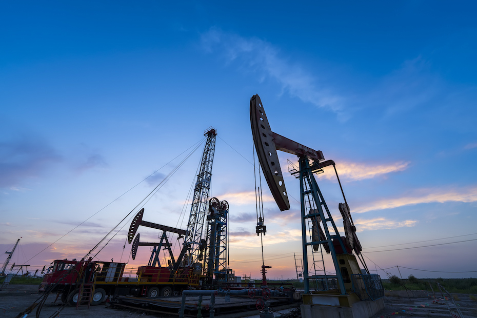 OPEC projection for 2024 energy demand