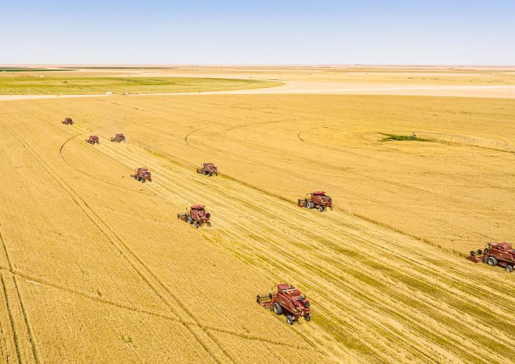 Al Dhara and ADEX to supply wheat to Egypt in $500m deal image WAM