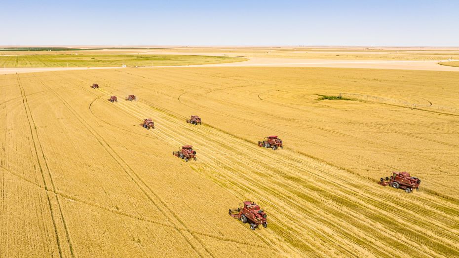 Al Dhara and ADEX to supply wheat to Egypt in $500m deal image WAM