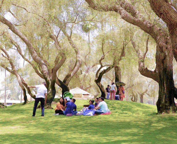 Dubai parks H1 2023 Image WAM Dubai Municipality