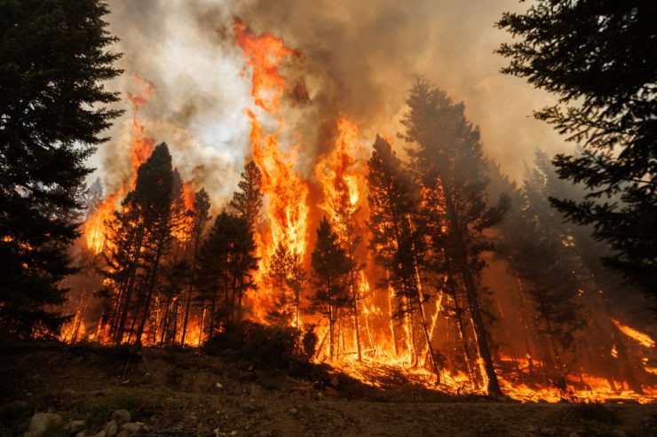 Canada's Record Wildfire Season Set to Worsen as Heat Builds