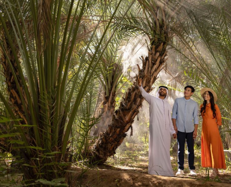 Abu Dhabi holiday homes