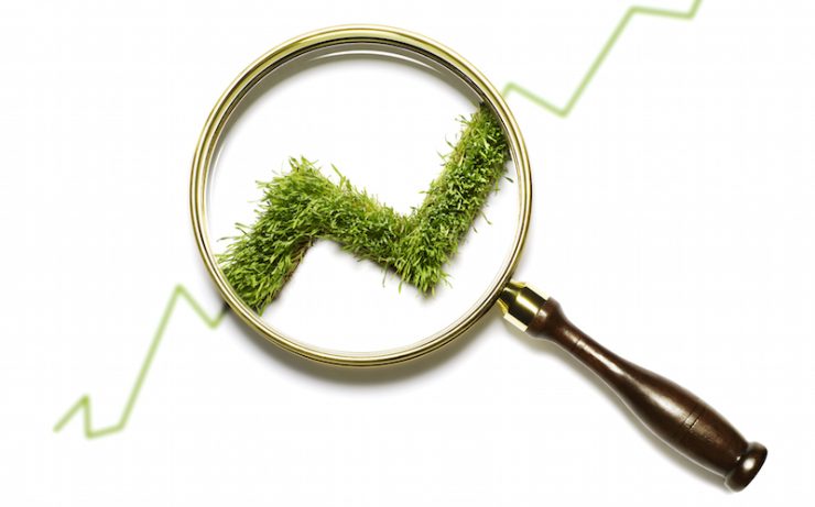 UAEs UBF on how the banking sector-is-supporting-green-finance-initiatives-GettyImages-83975094