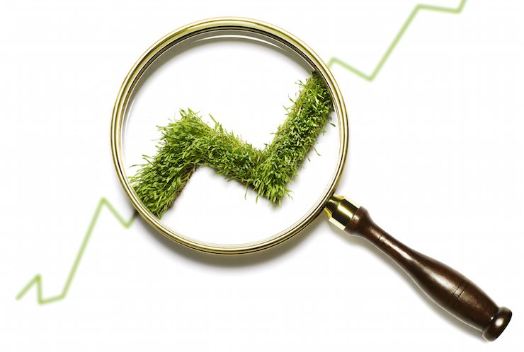 UAEs UBF on how the banking sector-is-supporting-green-finance-initiatives-GettyImages-83975094