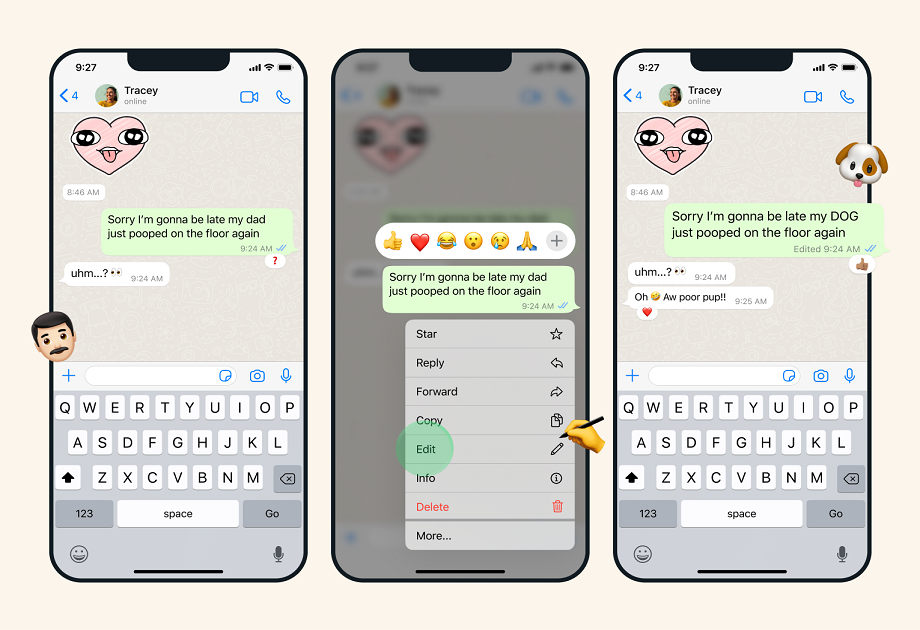 WhatsApp image share