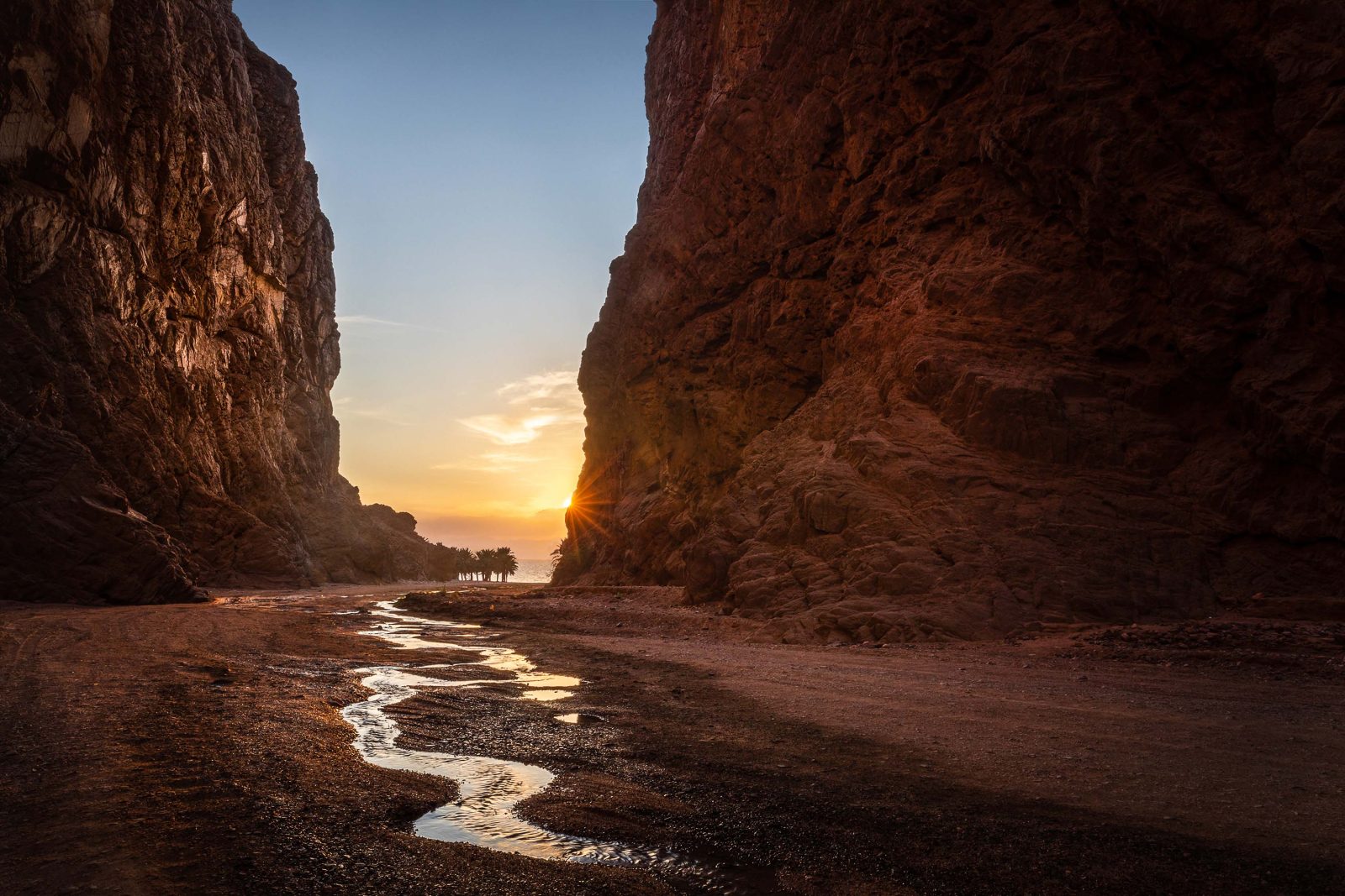 NEOM unveils Leyja Image NEOM