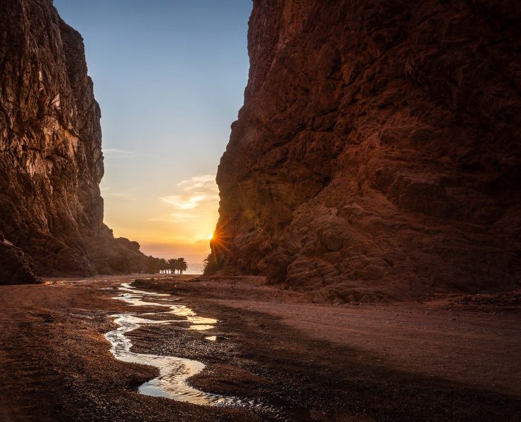 NEOM unveils Leyja Image NEOM