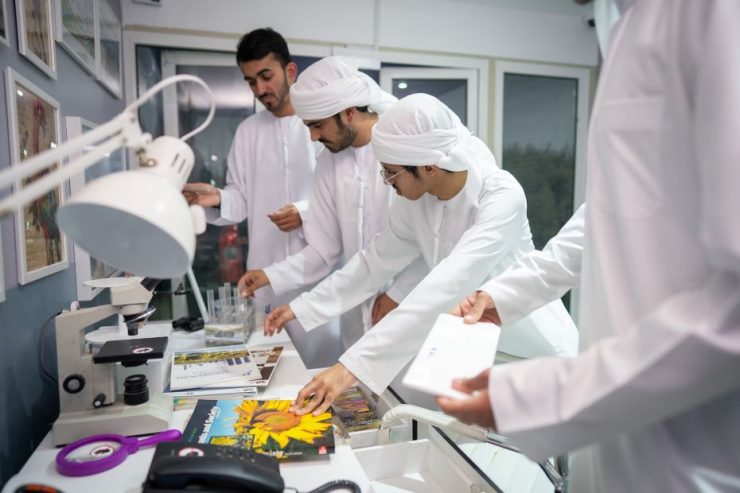 New mangrove escape room experience by Tecom to debut in Dubai