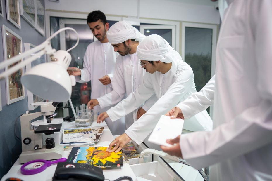 New mangrove escape room experience by Tecom to debut in Dubai