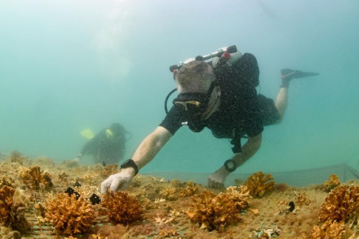 atlantis atlas project-1usd projects funding awarded for 2023-24