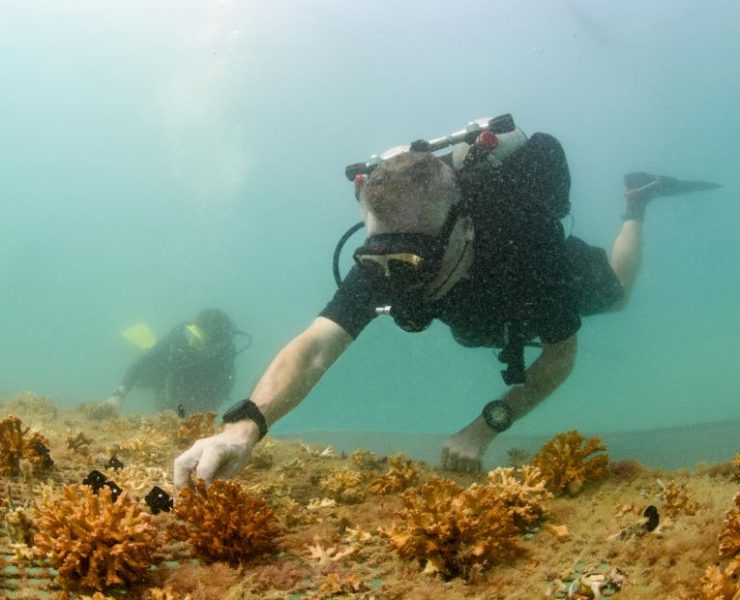 atlantis atlas project-1usd projects funding awarded for 2023-24