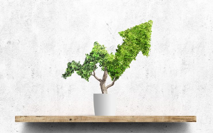 UAE: Abu Dhabi Islamic Bank successfully issues $500m green senior sukuk Image Getty Images