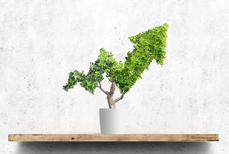 UAE: Abu Dhabi Islamic Bank successfully issues $500m green senior sukuk Image Getty Images