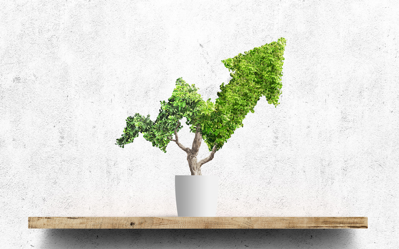 UAE: Abu Dhabi Islamic Bank successfully issues $500m green senior sukuk Image Getty Images