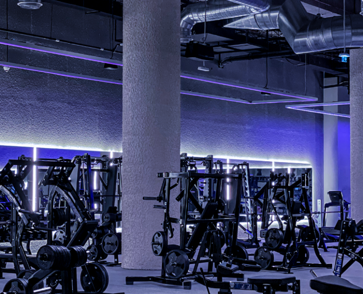 Here’s why investing in gym business makes sense