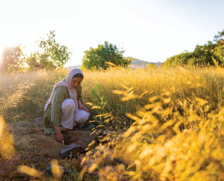 COP28 Saudi Green Initiative plants 43 million trees, shrubs since launch Image SG!