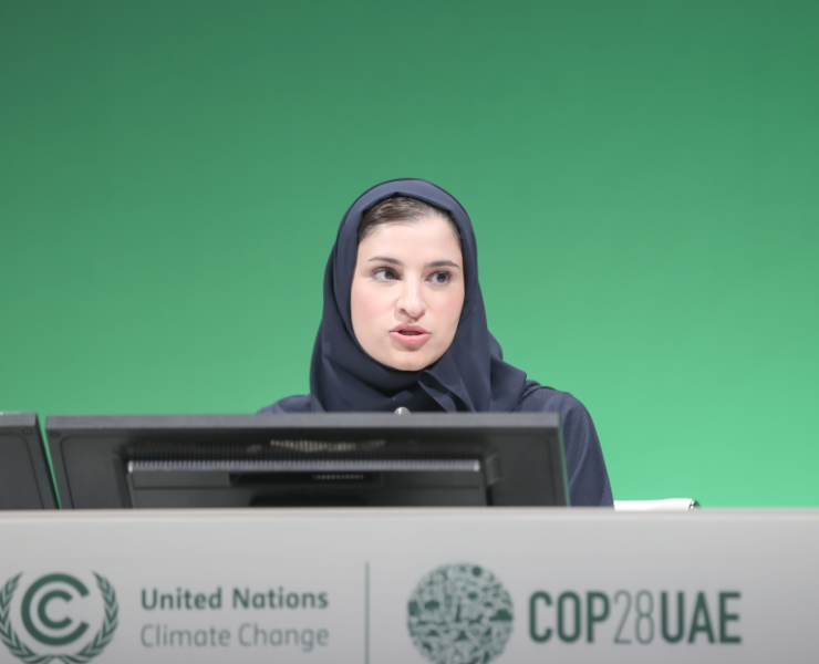 UAE launches industrial decarbonisation roadmap Image WAM